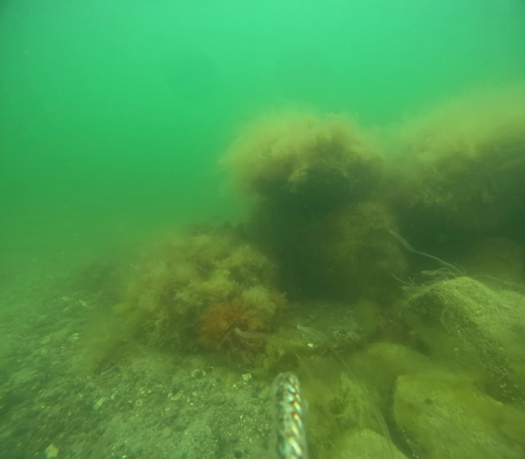 monitorering Egmont Revet 2 maj 24